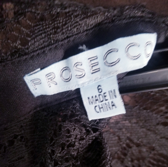 Prosecco Floral Lace Overlay Dress - Picture 7 of 9